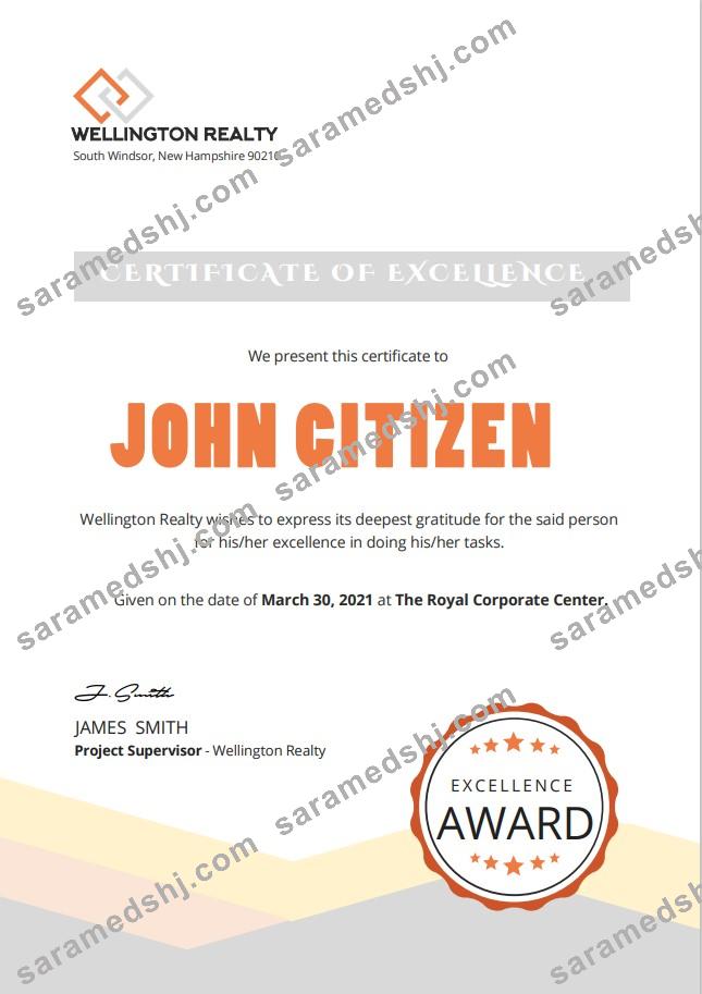 USA Excellence cert Version 2